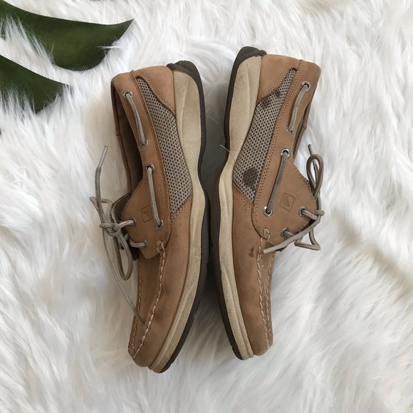 Sperry Top sider - Picture 5 of 7